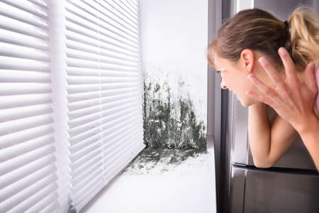Close-up Of A Shocked Woman Looking At Mold On Wallの写真素材