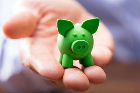 Close-up Of Green Little Piggybank On Person's Hand