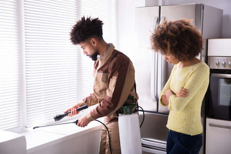 Woman Looking At Young Male Pest Control Worker Spraying Insecticide On Window Sillの写真素材