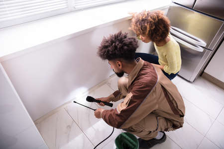 Young Male Pest Control Worker Using Torch While Spraying Insecticide On Window Sill