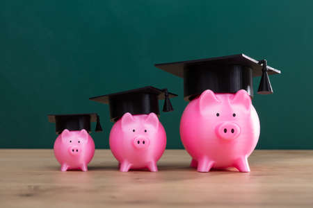 Increasing Pink Piggy Banks With Graduation Hat Arranged In A Row