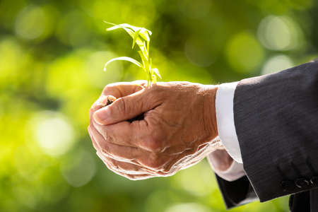 Close-up Of A Businessman's Hand Holding Plant With Soilの写真素材