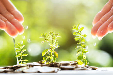 Close-up Of A Person's Hand Watering To Plants Growing In Saving Coinsの写真素材