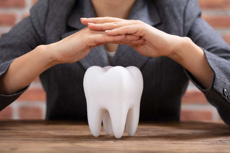 Close-up Of A Woman's Hand Protecting Healthy Hygienic White Tooth On Wooden Deskの写真素材