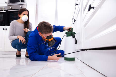 Woman Looking At Male Pest Control Worker Spraying Pesticide On Wooden Cabinetの写真素材