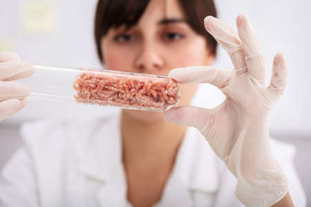 Young Female Scientist Hands Holding Raw Meat In Laboratory Test Tube