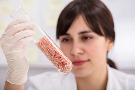 Young Female Scientist Hands Holding Raw Meat In Laboratory Test Tubeの写真素材