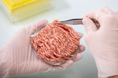 Close-up Of Researcher Holding Meat Sample In Petri Dishの写真素材