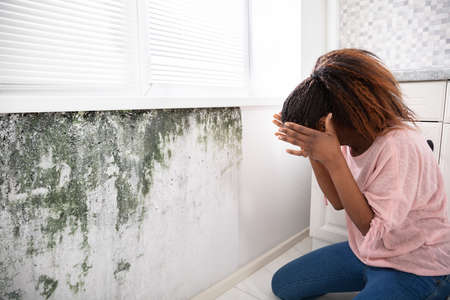 Side View Of A Shocked Young Woman Looking At Mold On Wallの写真素材