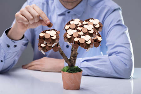 Businessman's Hand Placing Coins On Small Potted Plant Over Reflective Desk