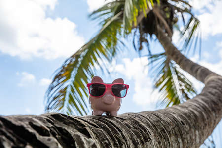 Pink Piggybank With Sunglasses On Crooked Palm Tree Trunk Against Blue Sky