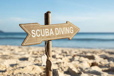 Close-up Of Scuba Diving Directional Wooden Sign On Beachの写真素材