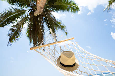 Close-up Of Hat On Hammock Under The Palm Tree Against Blue Skyの写真素材