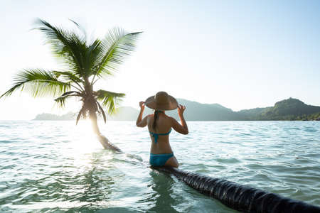 Rear View Of A Woman Sitting On The Palm Tree Trunk Over The Ocean Waterの写真素材
