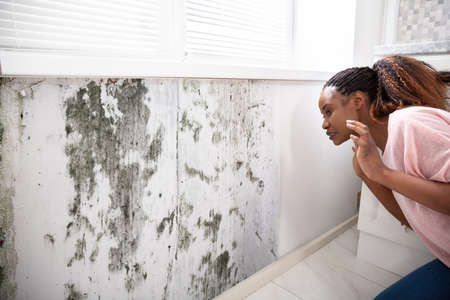 Side View Of A Shocked Young Woman Looking At Mold On Wallの写真素材