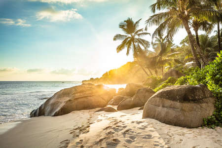 Sunlight Over Palm Trees On Anse Intendance Beach, Mahe Island, Seychellesの写真素材