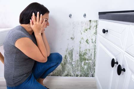 Side View Of A Young Woman Looking At Mold On Wallの写真素材