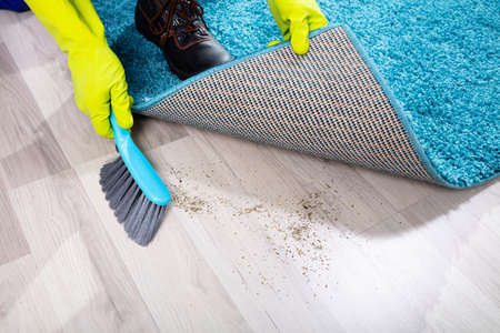 Low section View Of A Lazy Janitor Sweeping Dirt Under The Carpetの写真素材