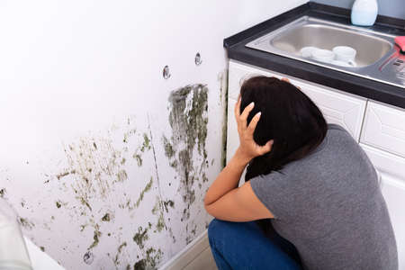 Side View Of A Young Woman Looking At Mold On Wallの写真素材