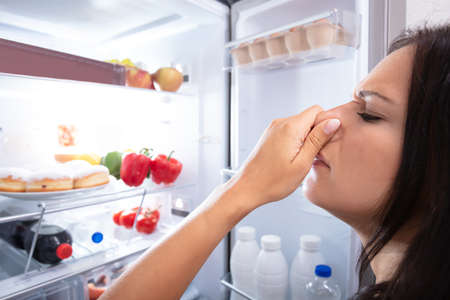 Side View Of Young Woman Recognizing Bad Smell Coming From The Refrigeratorの写真素材