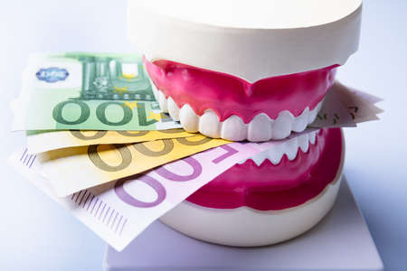 Close-up Of A Tooth Model With Euro Notes Over White Background