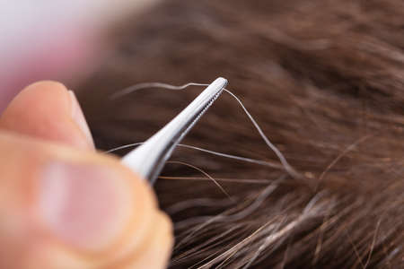 Close-up Of Hand Plucking Gray Hair With Tweezersの写真素材