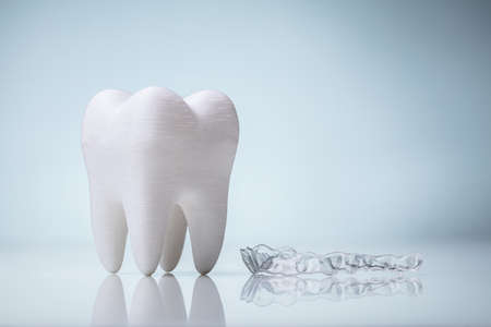 White Ceramic Tooth Model And Transparent Mouth Guard Over Reflective Deskの写真素材