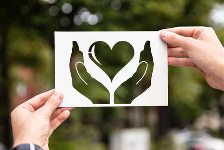 Hands Holding Paper With Cutout Hands Protecting Heart Outdoorsの写真素材
