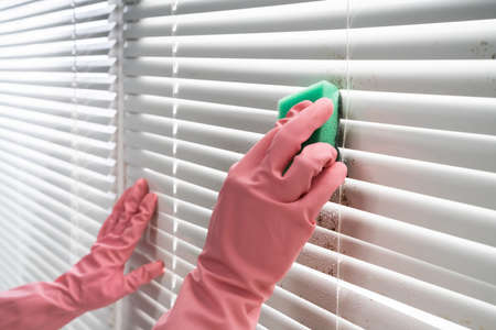 Person Professionally Cleaning Window Blinds From Dirtの写真素材