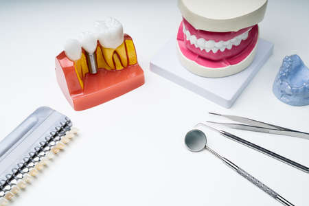 Dental Tools Clear Aligner And Implant Model Over White Backgroundの写真素材