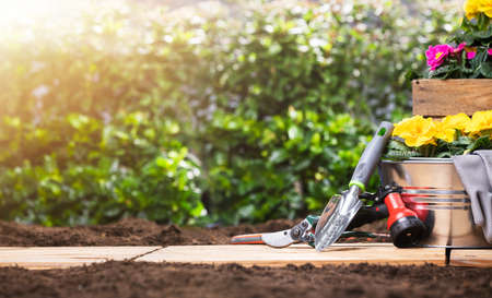Gardening Tools Set And Flowers In Sunny Gardenの写真素材