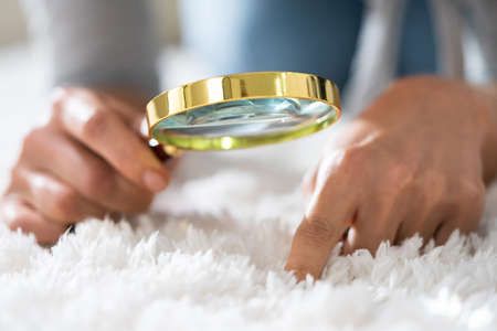 Young Female Looking At Carpet With Magnifying Glassの写真素材