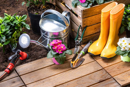 Gardening Tools And Flowers Ready To Be Plantedの写真素材