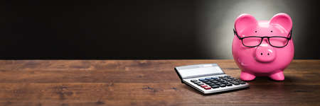 Budget And Financial Advice. Piggy With Calculator