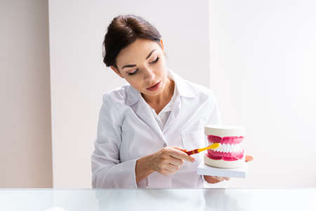 Dentist Doctor Explaining Orthodontic Medical Treatment To Patientの写真素材