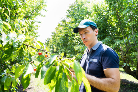 Agriculture Industry Farming Technology At Plant Field Or Farm