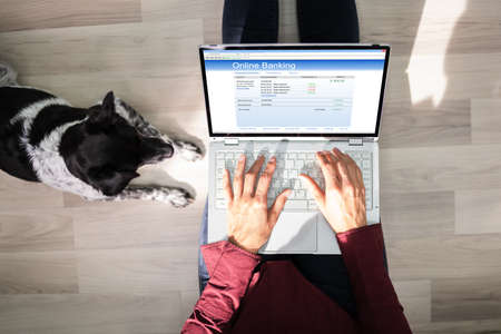 Online Banking Using Internet Bank App. Money Balanceの写真素材