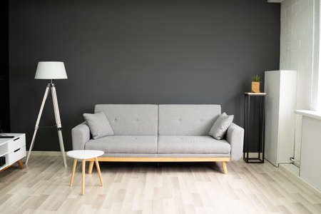 Home Comfort Living Room With Sofa Or Couchの写真素材