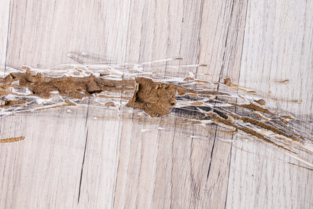 Destroyed Laminate Floor. Broken Old House Flooring With Damageの写真素材