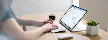 Gantt Chart Timeline Software On Convertible Laptop