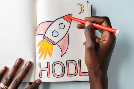 Hold Crypto Currency And Meme Stocks To The Moon