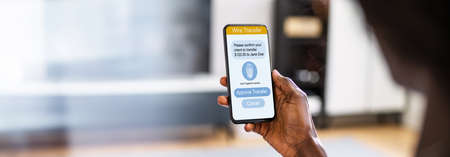 Online Bank Money Transfer And Balance Check
