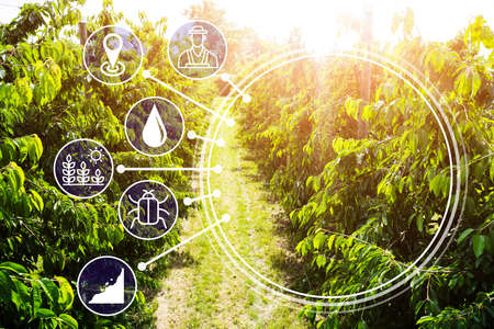 Smart Farming Digital Technology Agriculture At Farm