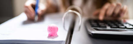 Sales Tax Invoices. Advisor Saving Money With Piggybankの写真素材