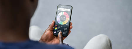 Budget And Expense Tracker Phone App. African Using Organizer