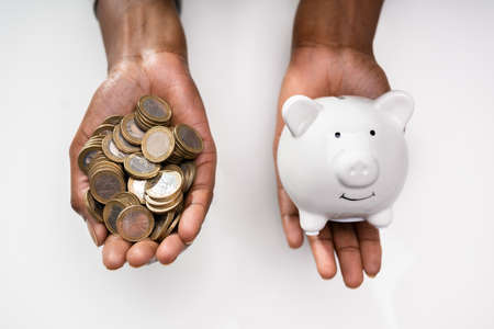 African American Woman Money Budget Growth And Piggybank
