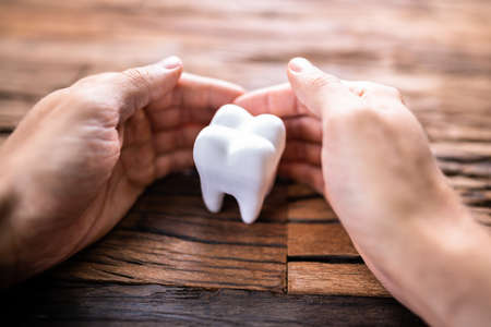 Dental Tooth Insurance And Replace Enamel Serviceの写真素材