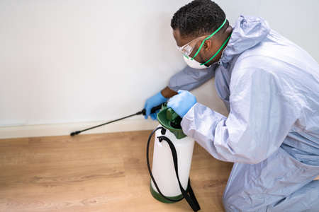 Pest Control Exterminator Man Spraying Termite Pesticide In Officeの写真素材