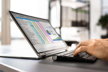 Spreadsheet Business Data Analyst Using Computer Screenの写真素材