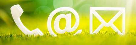 Close-up Of Various White Contact Options On Green Grassの写真素材